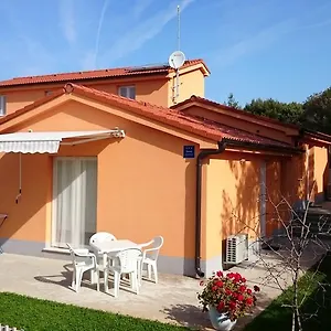 Shankini Pola